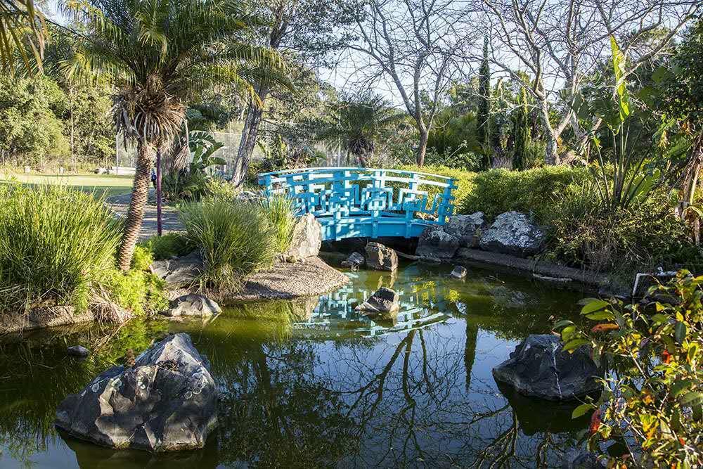 Seaside Garden Retreat Accommodation Wamberal Esterno foto